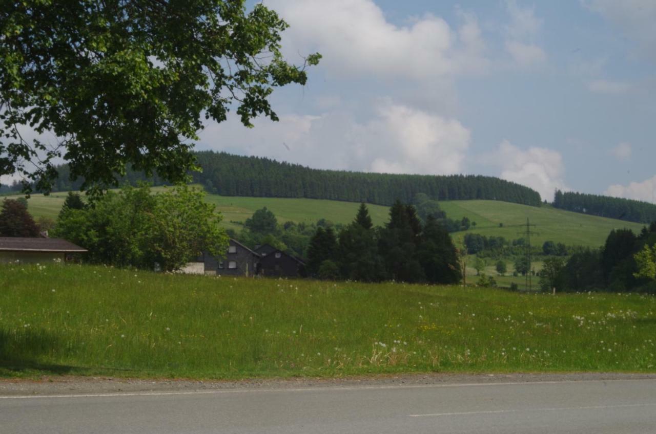 Das Gelbe Haus 3 Leilighet Winterberg Eksteriør bilde